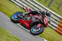 Middle 2 Group Red Bikes